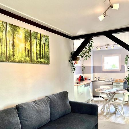 Seppala Charmant Appartement Colmar Ngoại thất bức ảnh