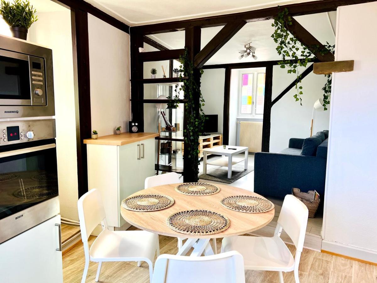 Seppala Charmant Appartement Colmar Ngoại thất bức ảnh