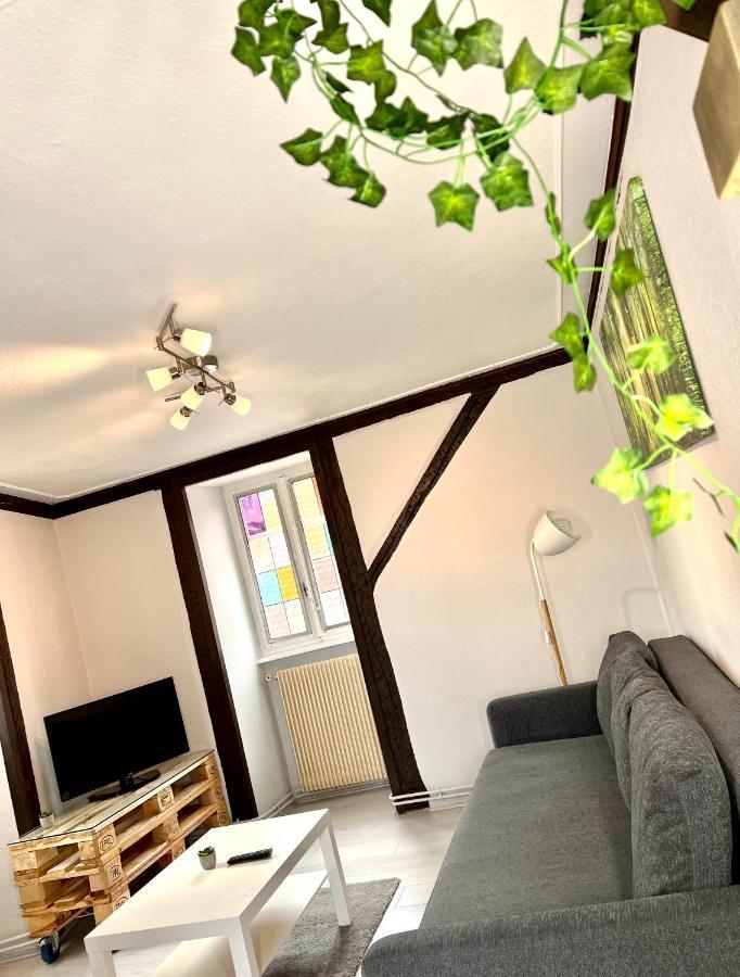 Seppala Charmant Appartement Colmar Ngoại thất bức ảnh
