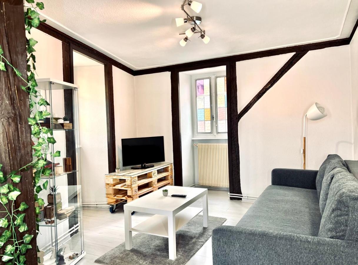 Seppala Charmant Appartement Colmar Ngoại thất bức ảnh
