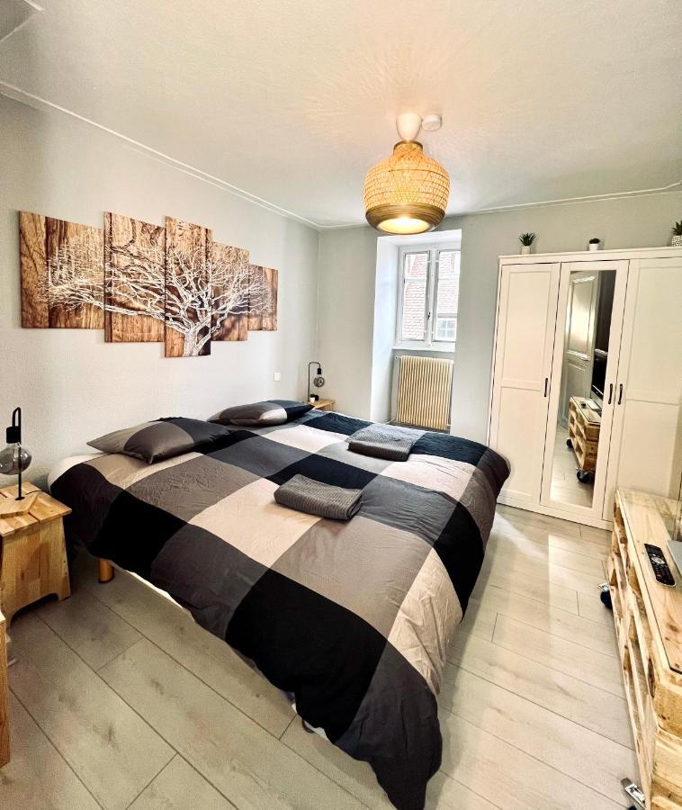 Seppala Charmant Appartement Colmar Ngoại thất bức ảnh