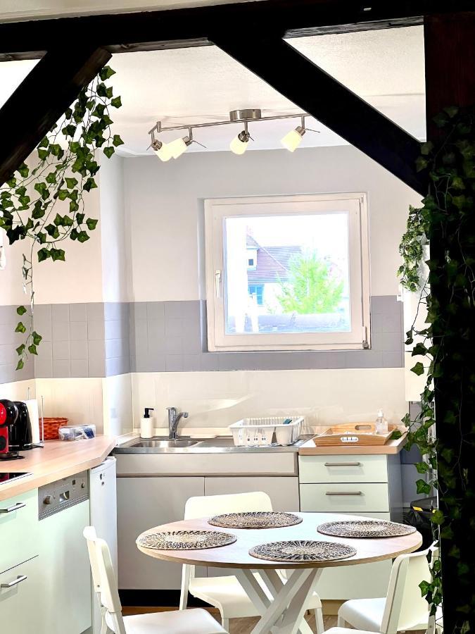 Seppala Charmant Appartement Colmar Ngoại thất bức ảnh