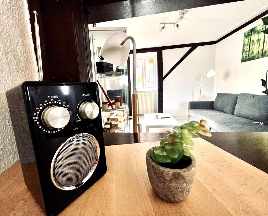 Seppala Charmant Appartement Colmar Ngoại thất bức ảnh