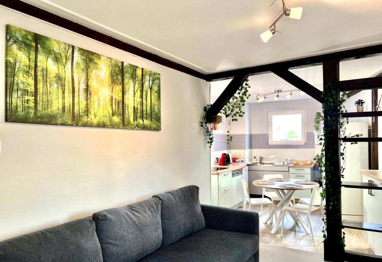 Seppala Charmant Appartement Colmar Ngoại thất bức ảnh